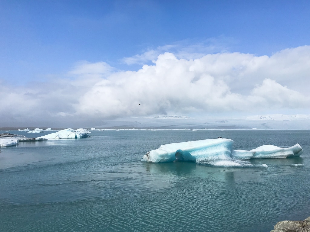 La lagune Jokulsarlon et ses icebergs