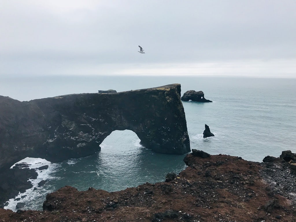 Formation rocheuse Dyrhólaey dans le sud de l'Islande avec un oiseau