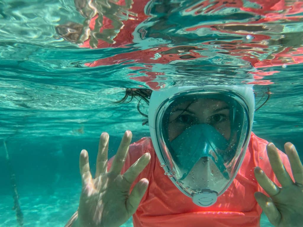 activités en guadeloupe : faire du snorkeling pour observer les tortues