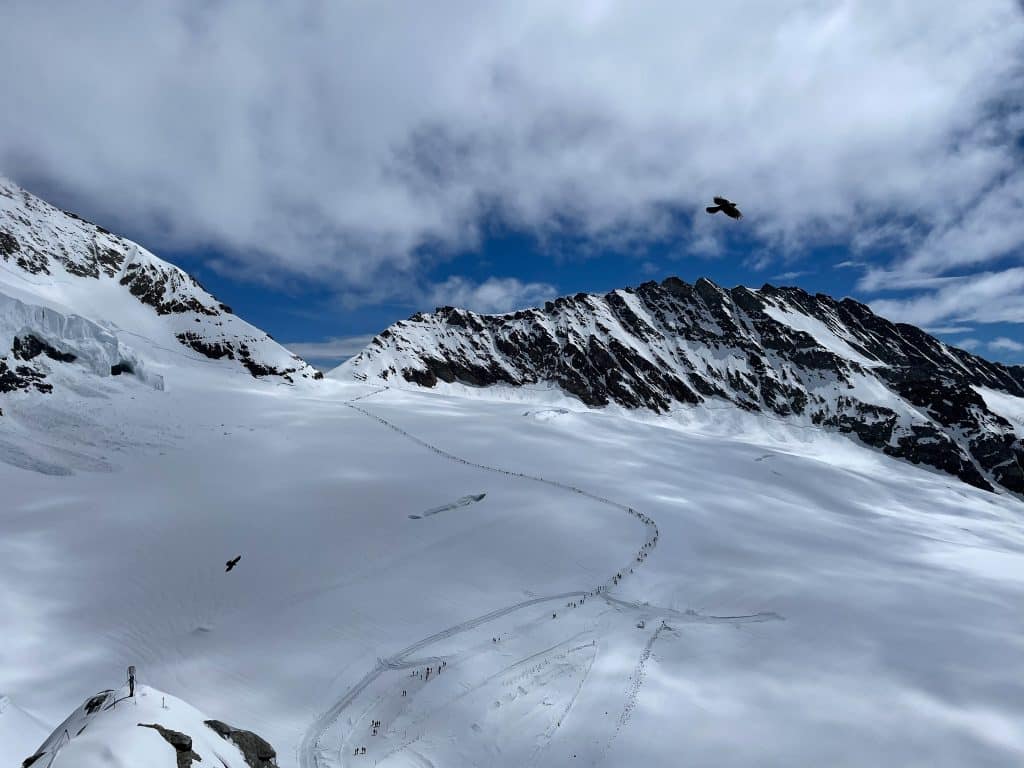 Jungfraujoch : panorama depuis l'observatoire du sphinx