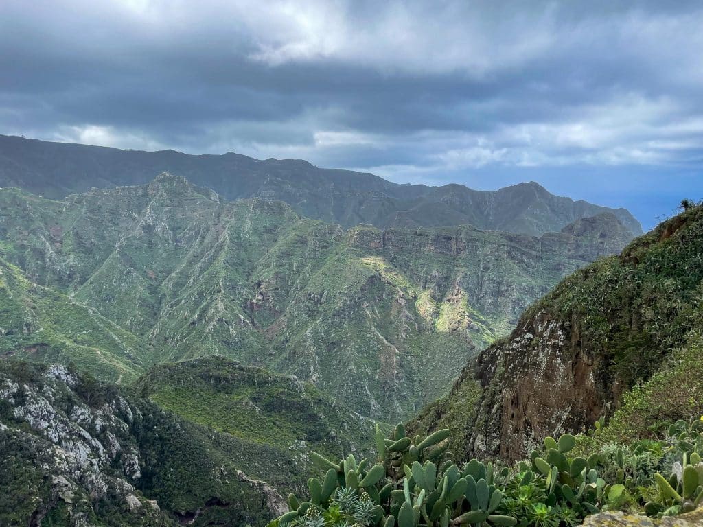 Paysages au nord de l'île de Tenerife dans la forêt de l'ataga