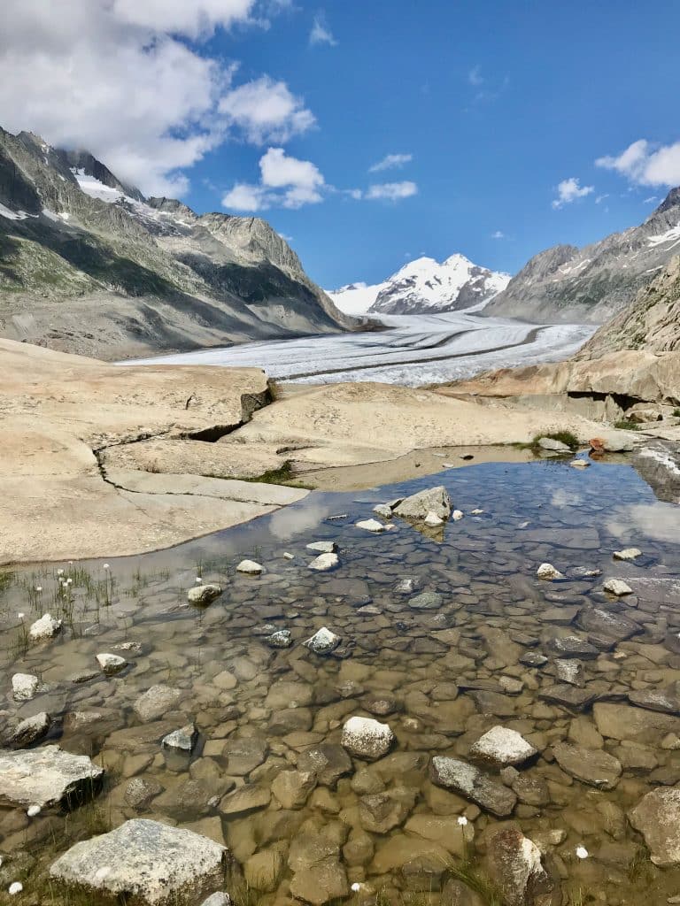 Le glacier d'Aletsch et des roches