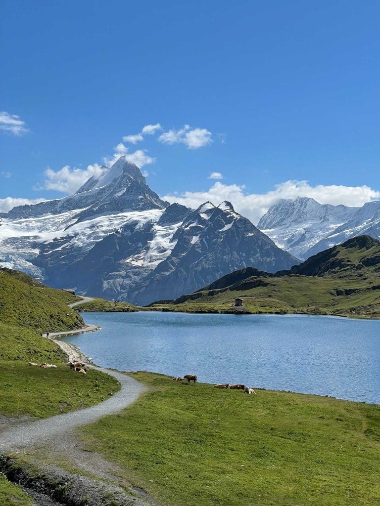 Le Bachalpsee à Grindelwald
