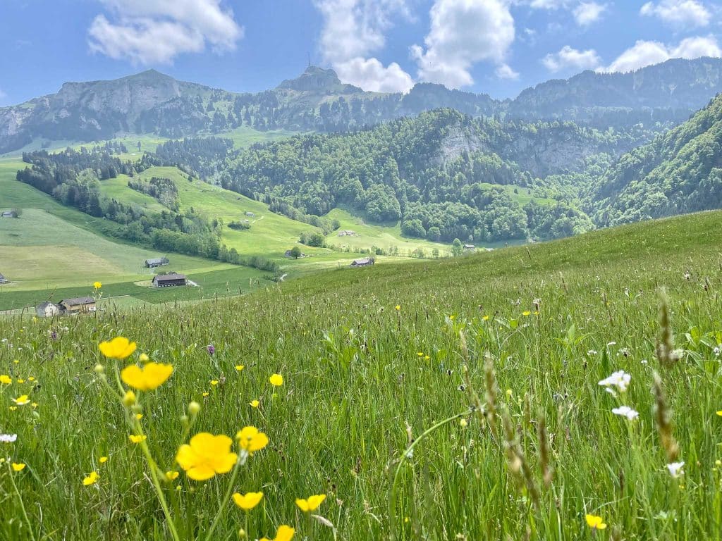 De Brülisau vers Alp Siegel en Appenzell dans l'Alpstein