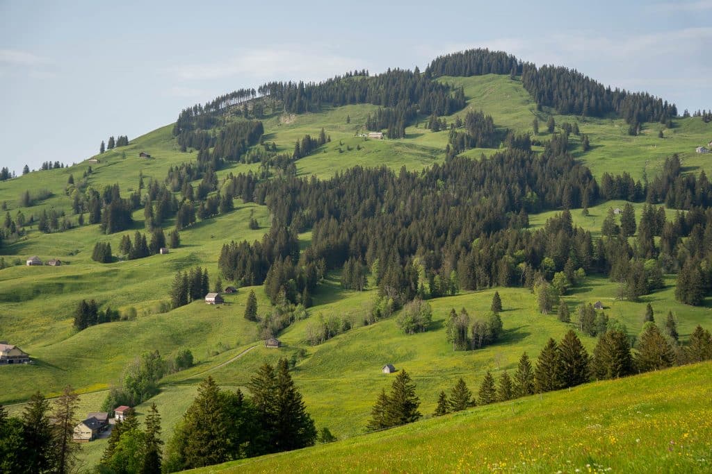 Les prairies et la verdure en Appenzell