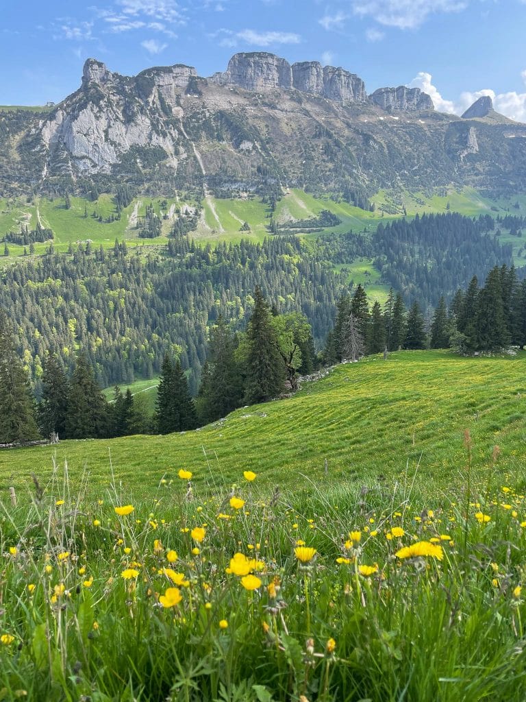 Vue vers la crête du Saxer Lücke en Appenzell depuis l'Alp Siegel