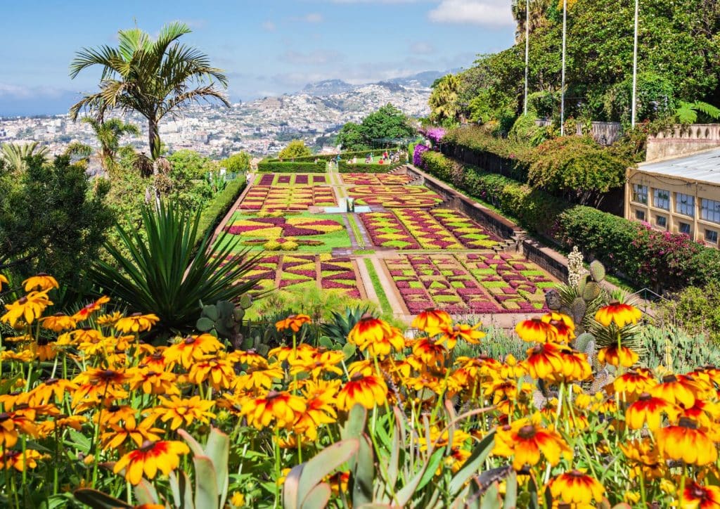 jardin botanique de Funchal