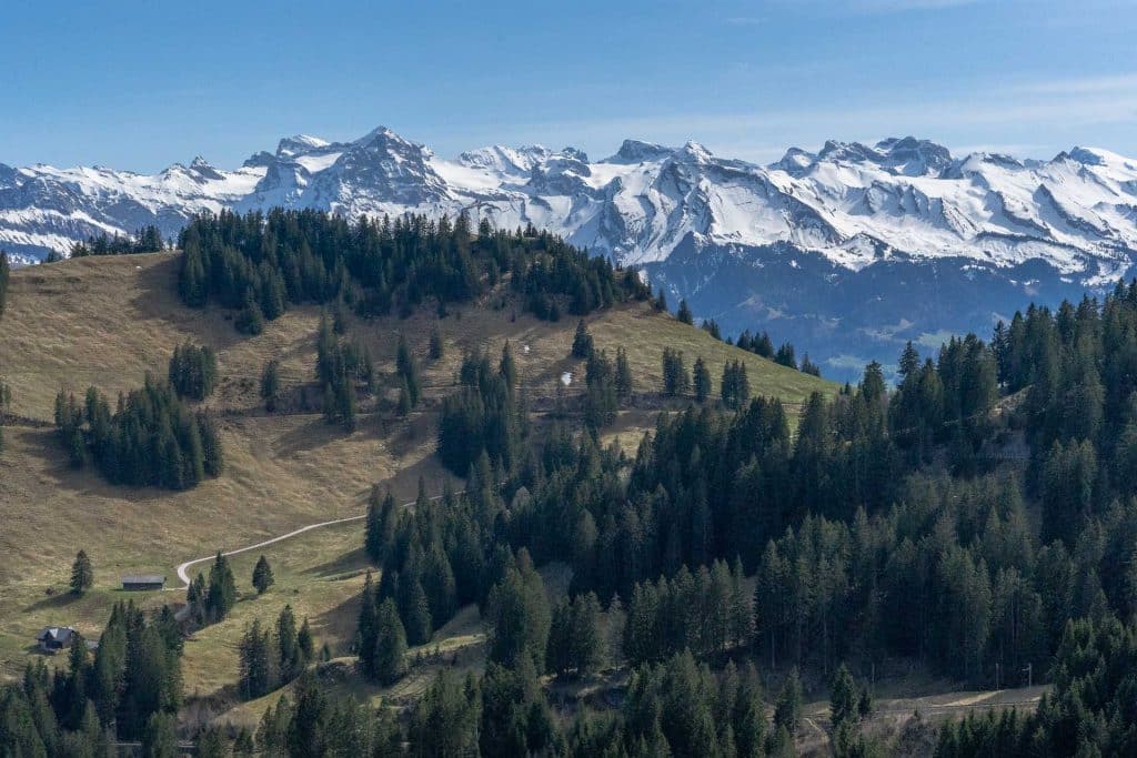 Sur le sentier de randonnée avec vue montagnes enneigées et sapins en Suisse