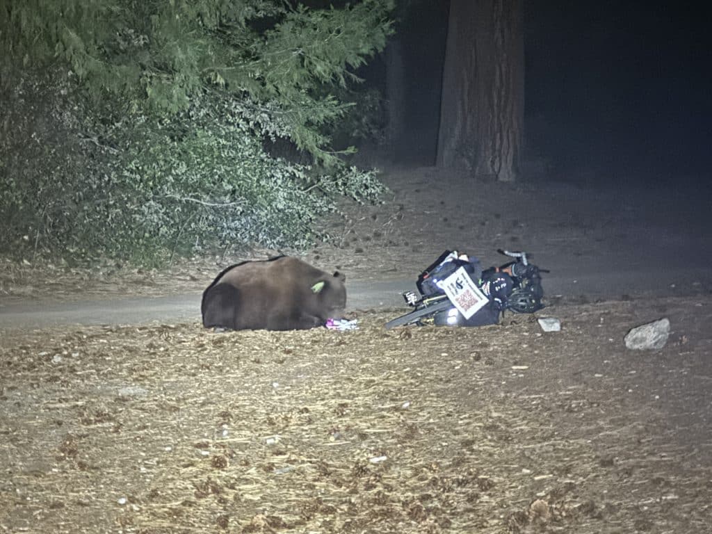 Le soir où un ours a tiré le vélo - Yosemite National Park